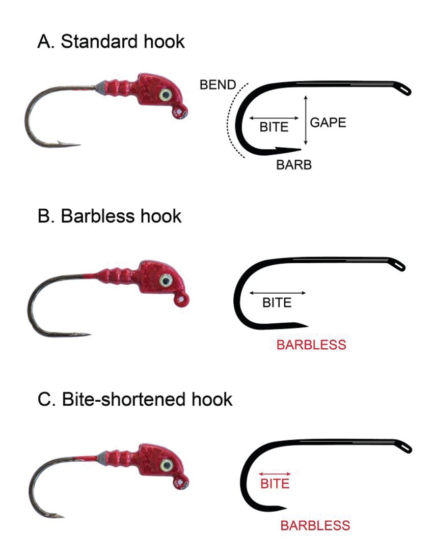 The three types of hooks tested in the UF/IFAS study.
